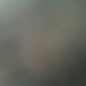 Meet your Posher, Elena